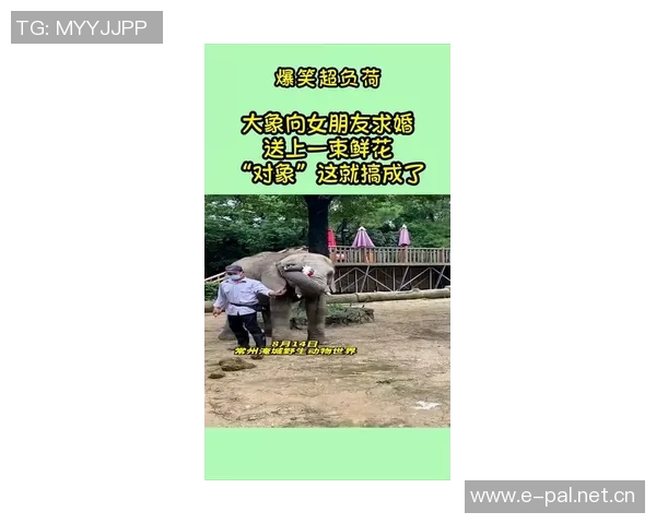 前绯闻对象扬言挑战亚马尔女友称两人难撑圣诞节 前绯闻对象扬言挑战亚马尔女友称两人难撑圣诞节