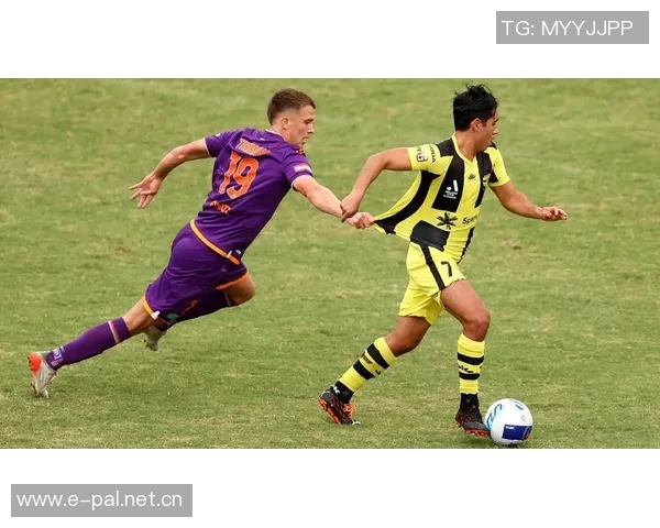 曼城4-1战胜多特全场数据分析射门与得分机会对比显优势