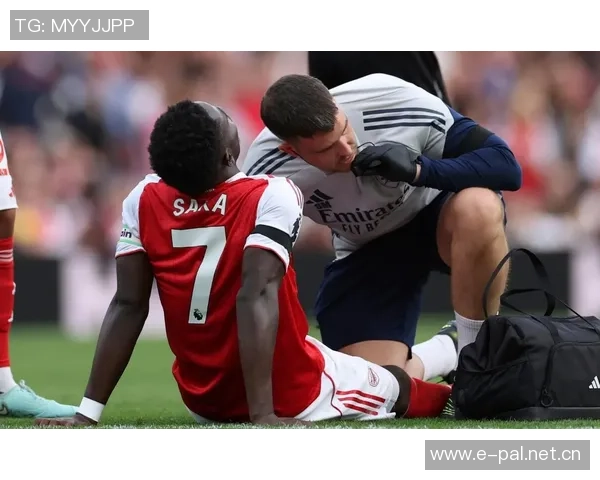 阿森纳冬季转会窗口或将静默无动作除非遭遇重大伤病